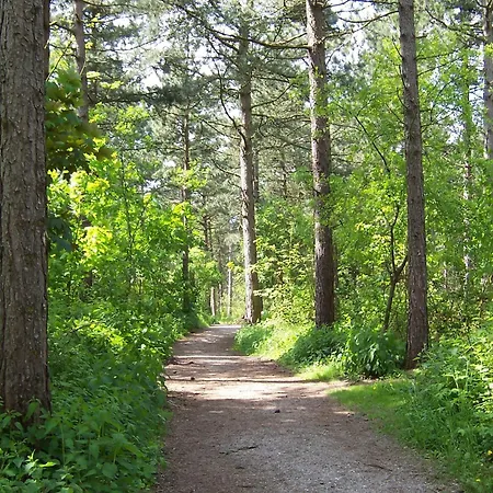 With Bubble Bath In Prázdninový dům Noordwijk
