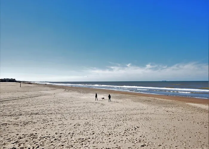 Holiday Home With Bubble Bath In Noordwijk Semesterbostad Noordwijk
