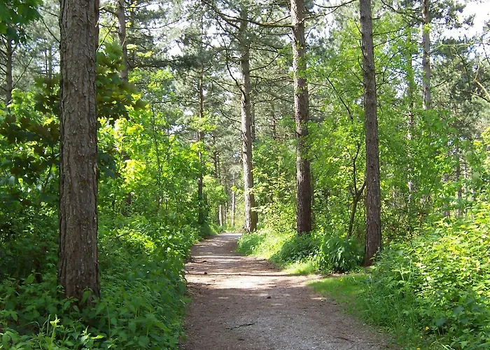 With Bubble Bath In Дом отдыха Нордвейк-ан-Зее